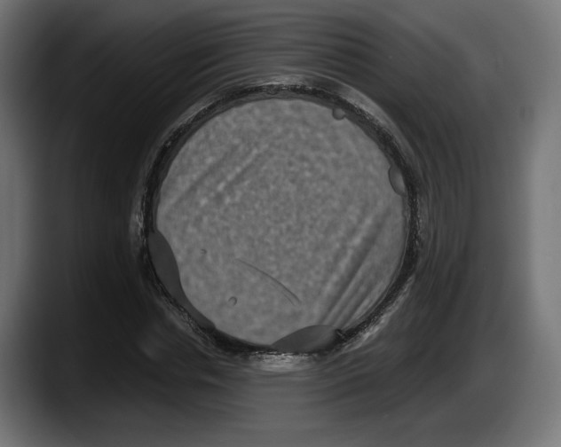 X0000087520826200705251637