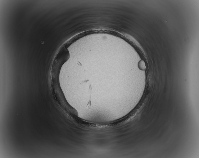 X0000087520831200705251637