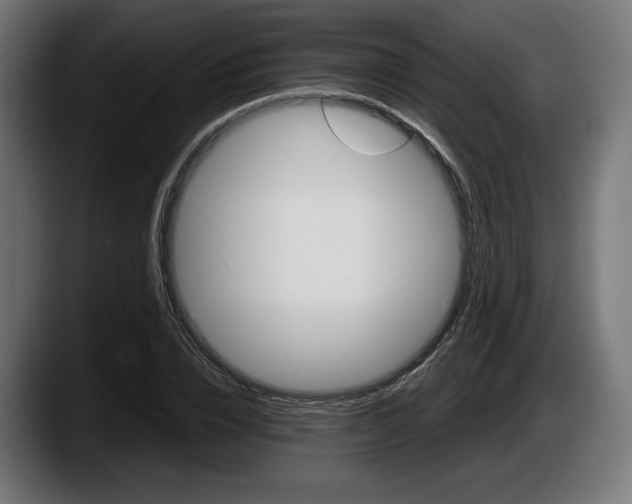 X0000087520832200705251637