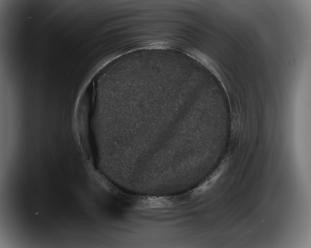 X0000087520835200705251637