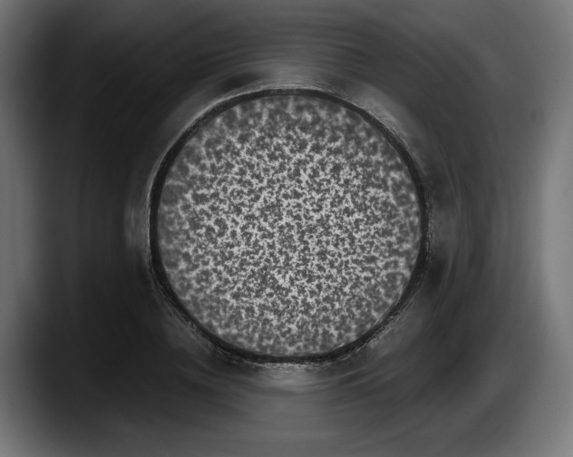 X0000087520836200705251637