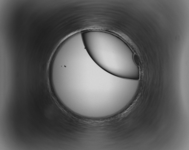 X0000087520838200705251638