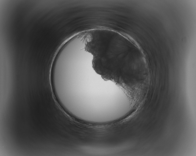 X0000087520839200705251638