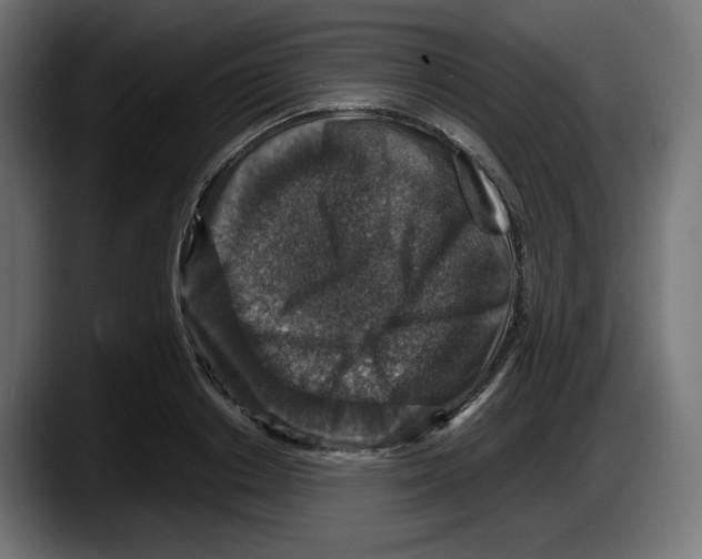 X0000087520842200705251638