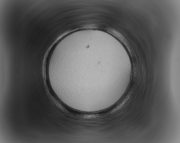 X0000087520843200705251638