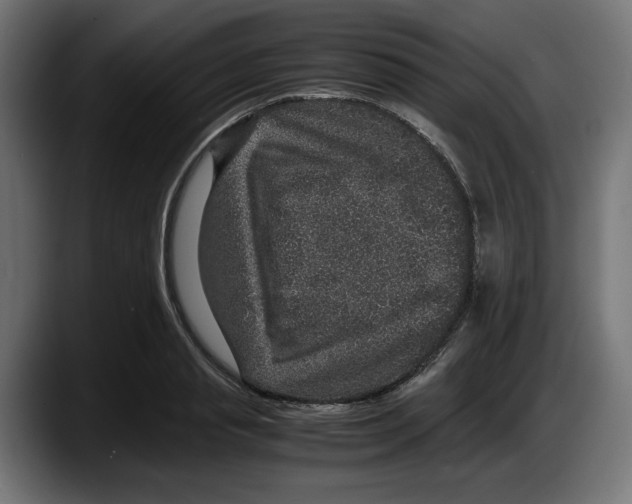 X0000087520845200705251638