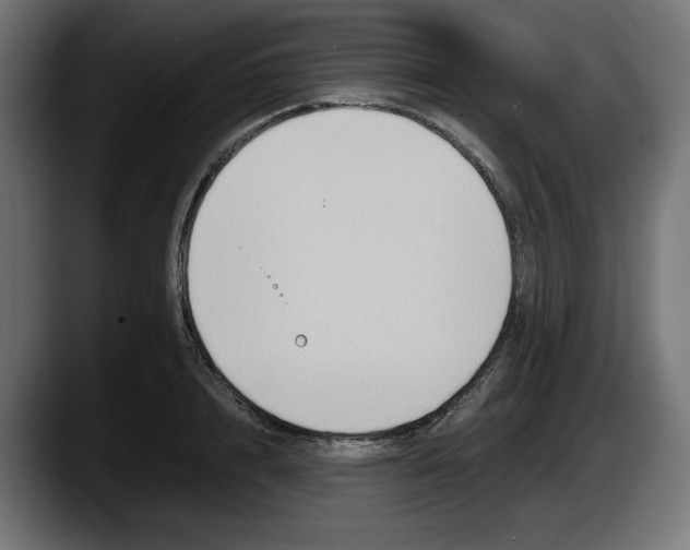 X0000087520848200705251638