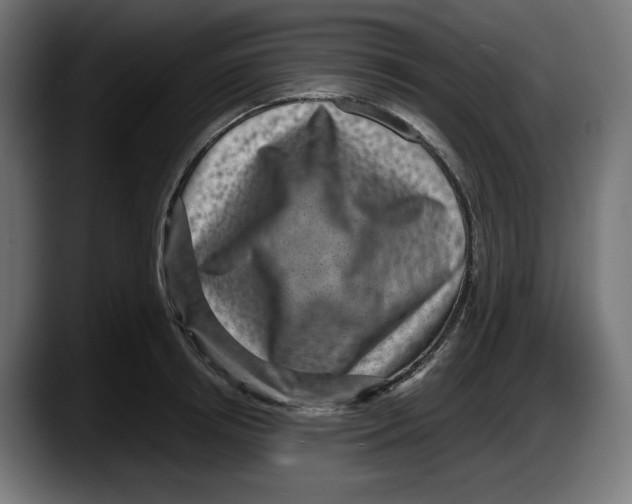 X0000087520850200705251638