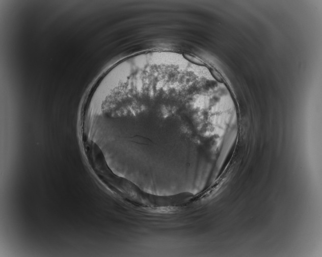 X0000087520851200705251638