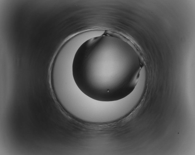 X0000087520854200705251638