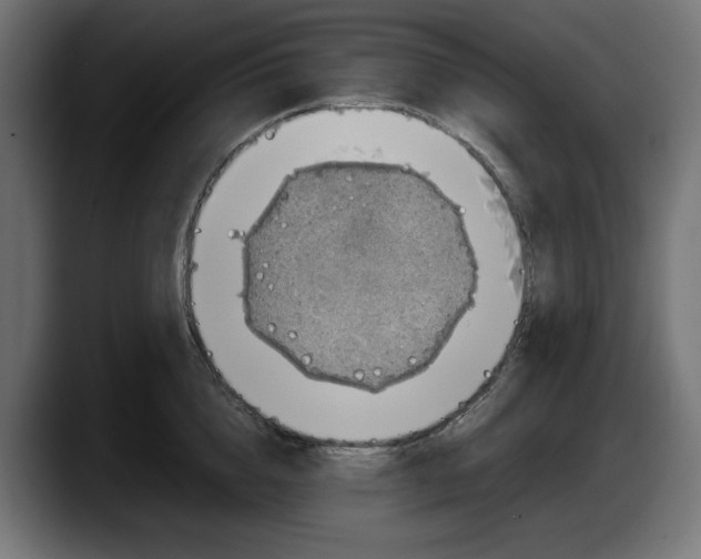 X0000087520856200705251638