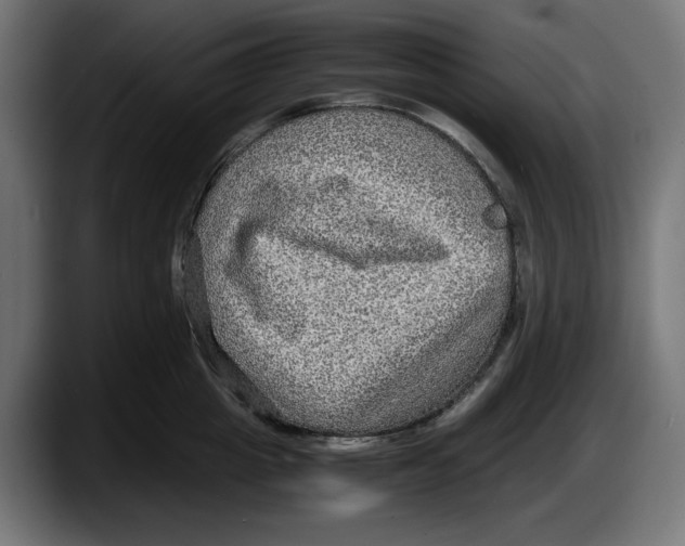 X0000087520857200705251638