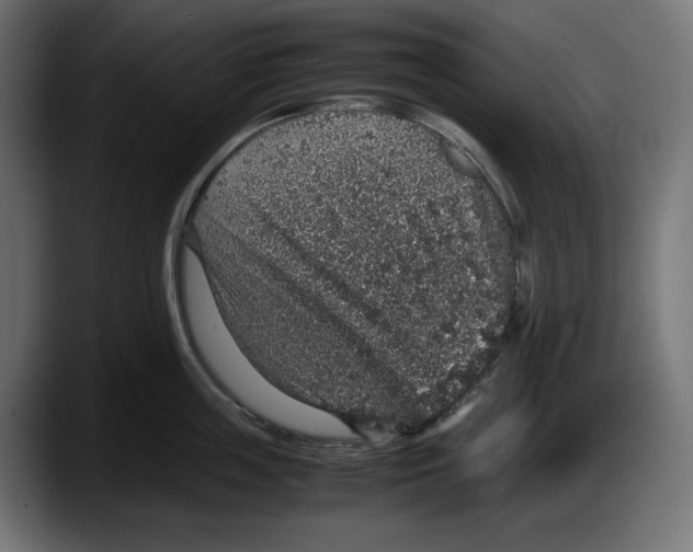 X0000087520859200705251638