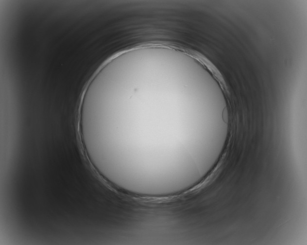 X0000087520860200705251638