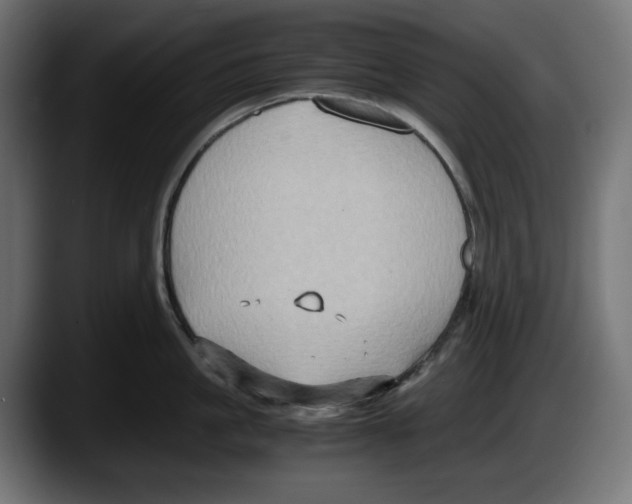 X0000087520861200705251638