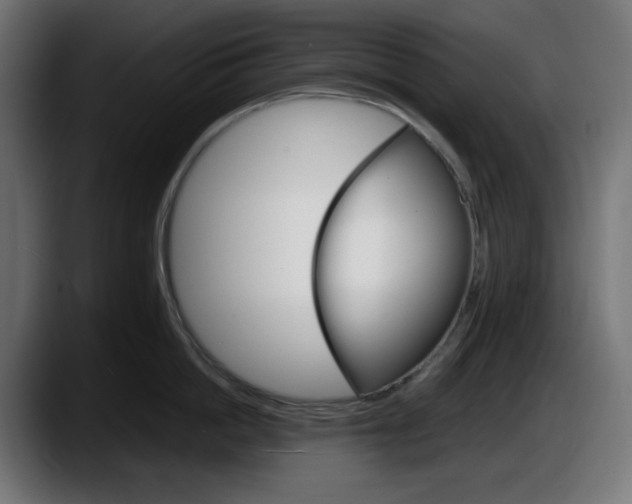 X0000087520862200705251638