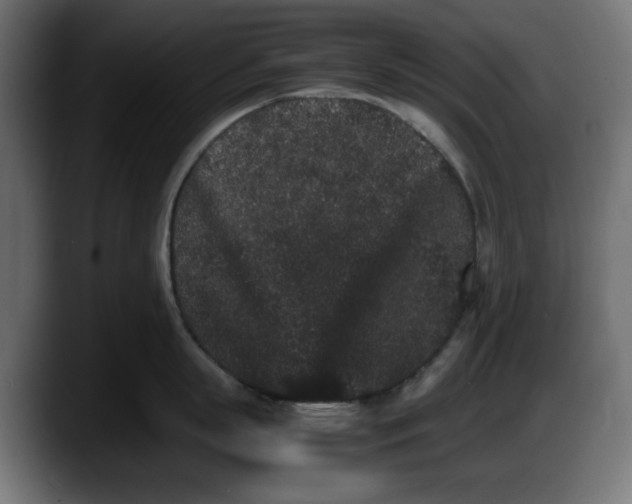 X0000087520863200705251638