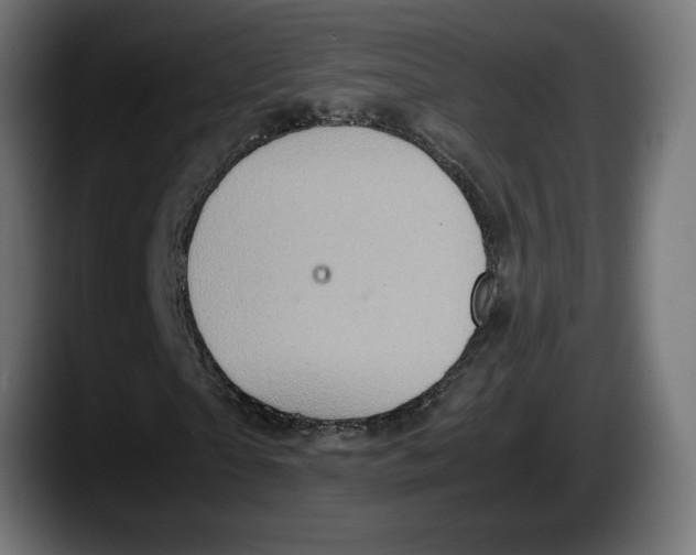 X0000087520865200705251637