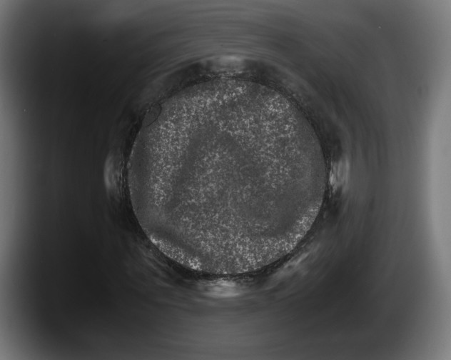 X0000087520867200705251637