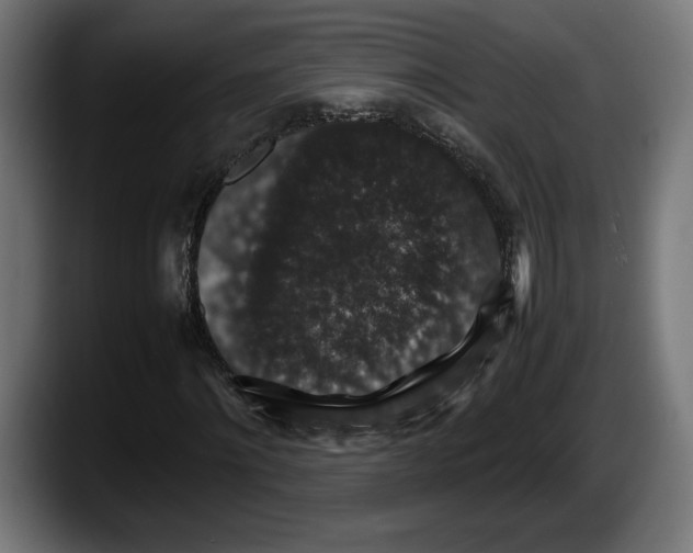 X0000087520868200705251637