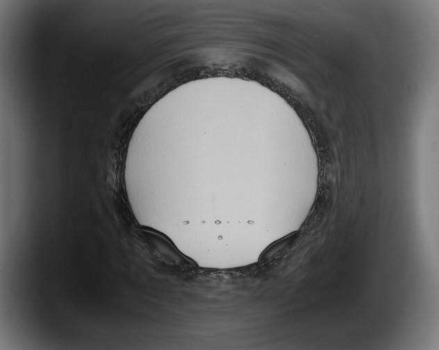 X0000087520869200705251637