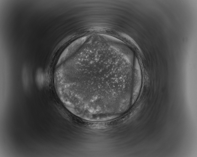 X0000087520874200705251637