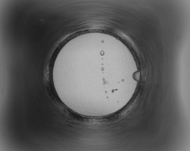 X0000087520875200705251637