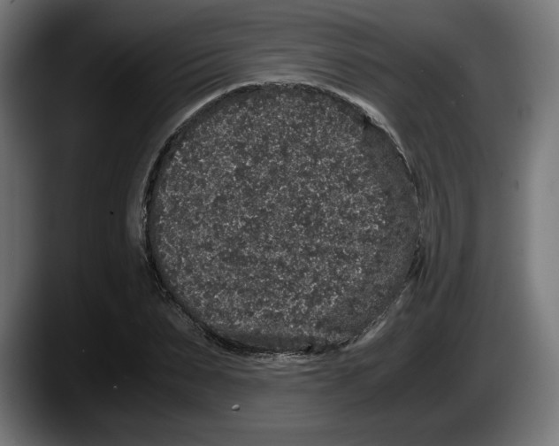 X0000087520879200705251637