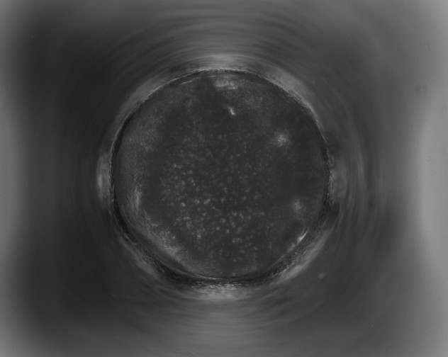 X0000087520882200705251637