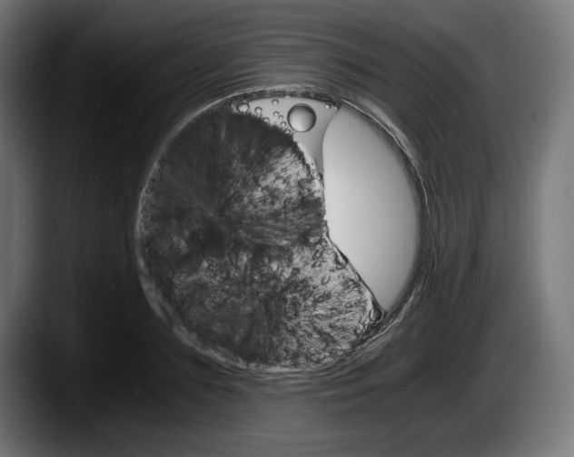 X0000087520883200705251637