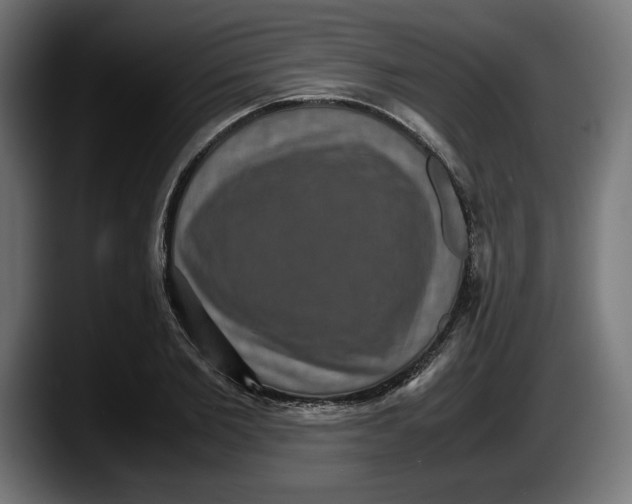 X0000087520885200705251637