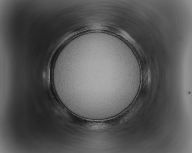 X0000087520886200705251637