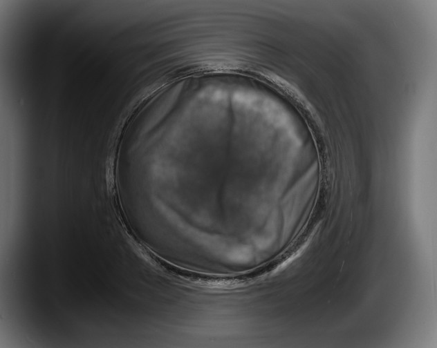 X0000087520889200705251637