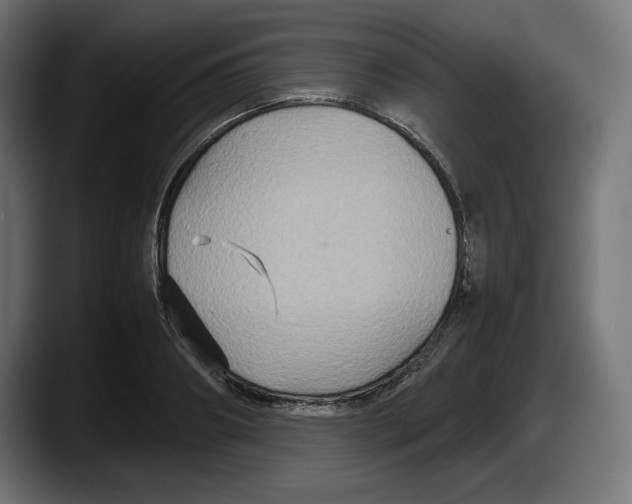 X0000087520890200705251637