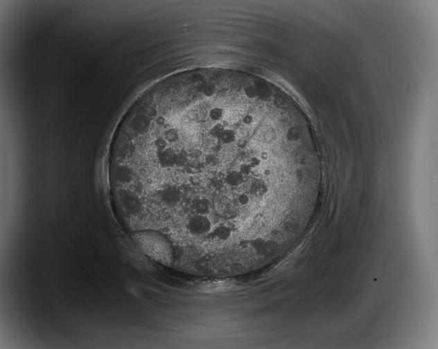 X0000087520891200705251637