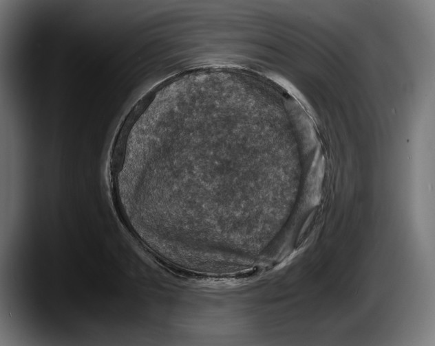 X0000087520893200705251637