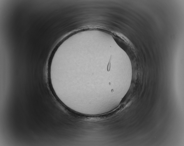 X0000087520894200705251637