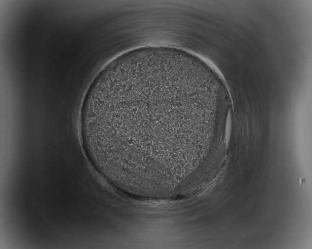 X0000087520895200705251637