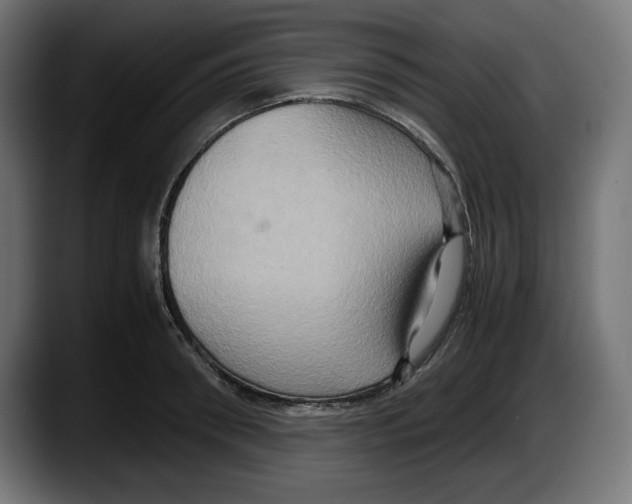 X0000087520898200705251637