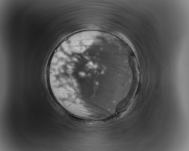 X0000087520899200705251637