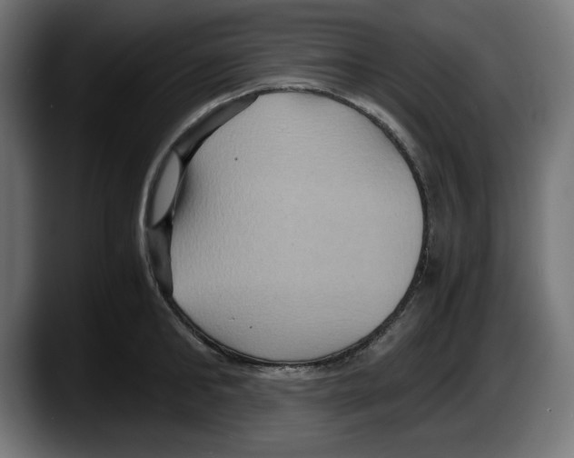 X0000087520902200705251637