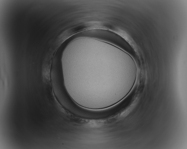 X0000087520905200705251637