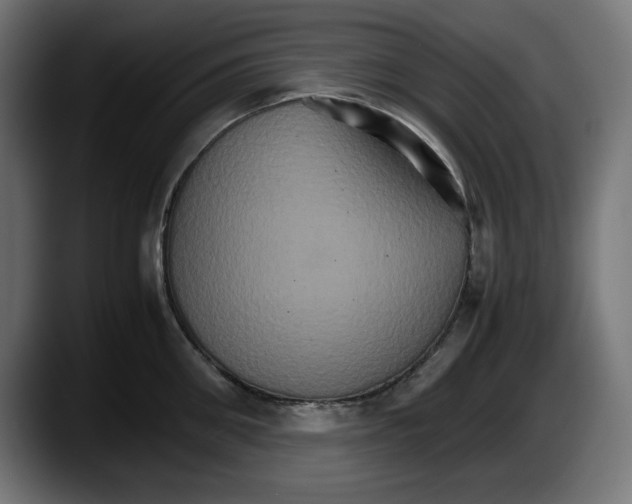 X0000087520906200705251637