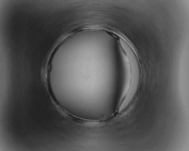 X0000087520909200705251637