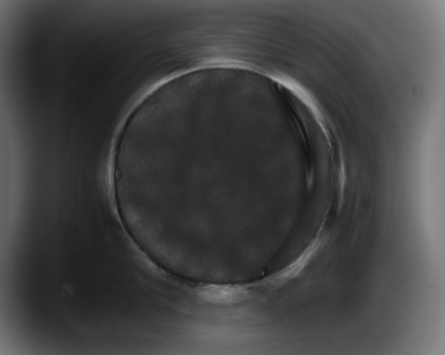 X0000087520910200705251637