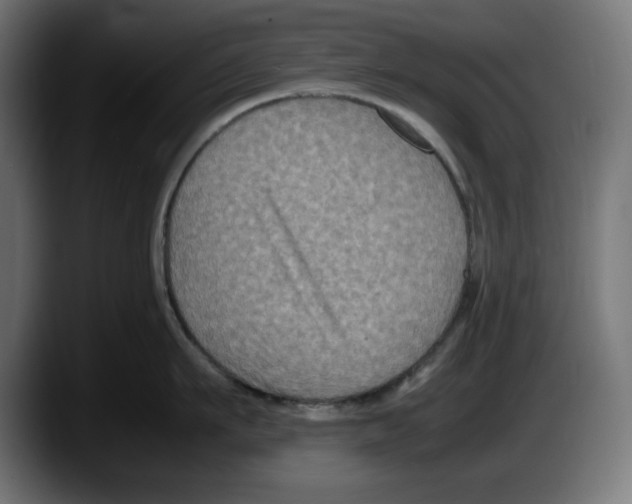 X0000087520911200705251637