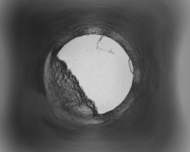 X0000087520913200705251636