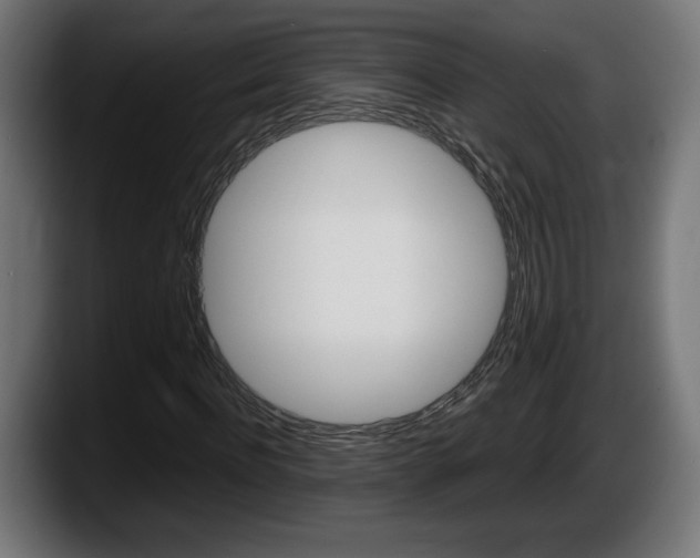 X0000087520916200705251636