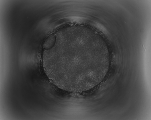 X0000087520918200705251636