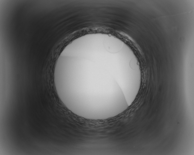 X0000087520919200705251636